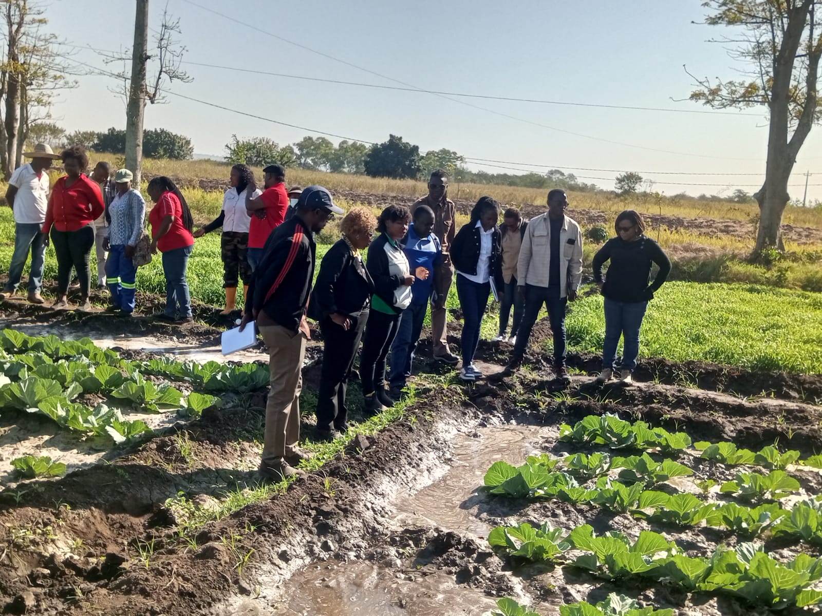 Universidade da Namíbia visita Estação Agrária de Umbeluzi em Boane