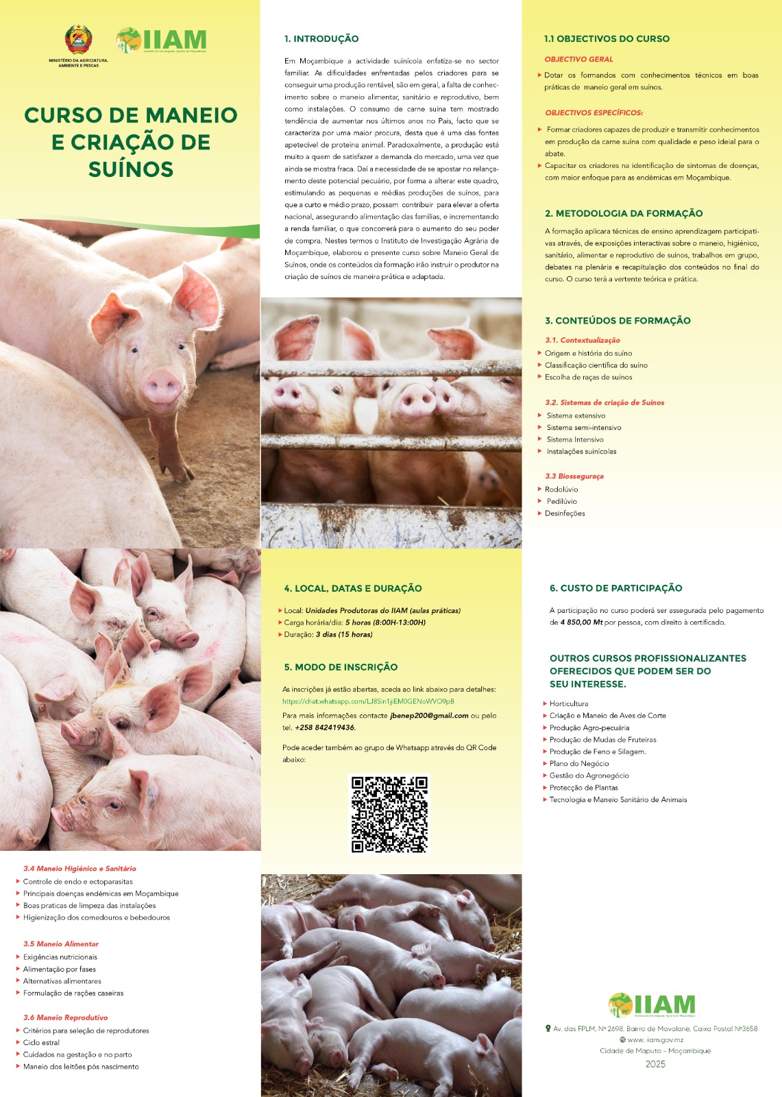 Curso de Maneio e Criação de Suínos