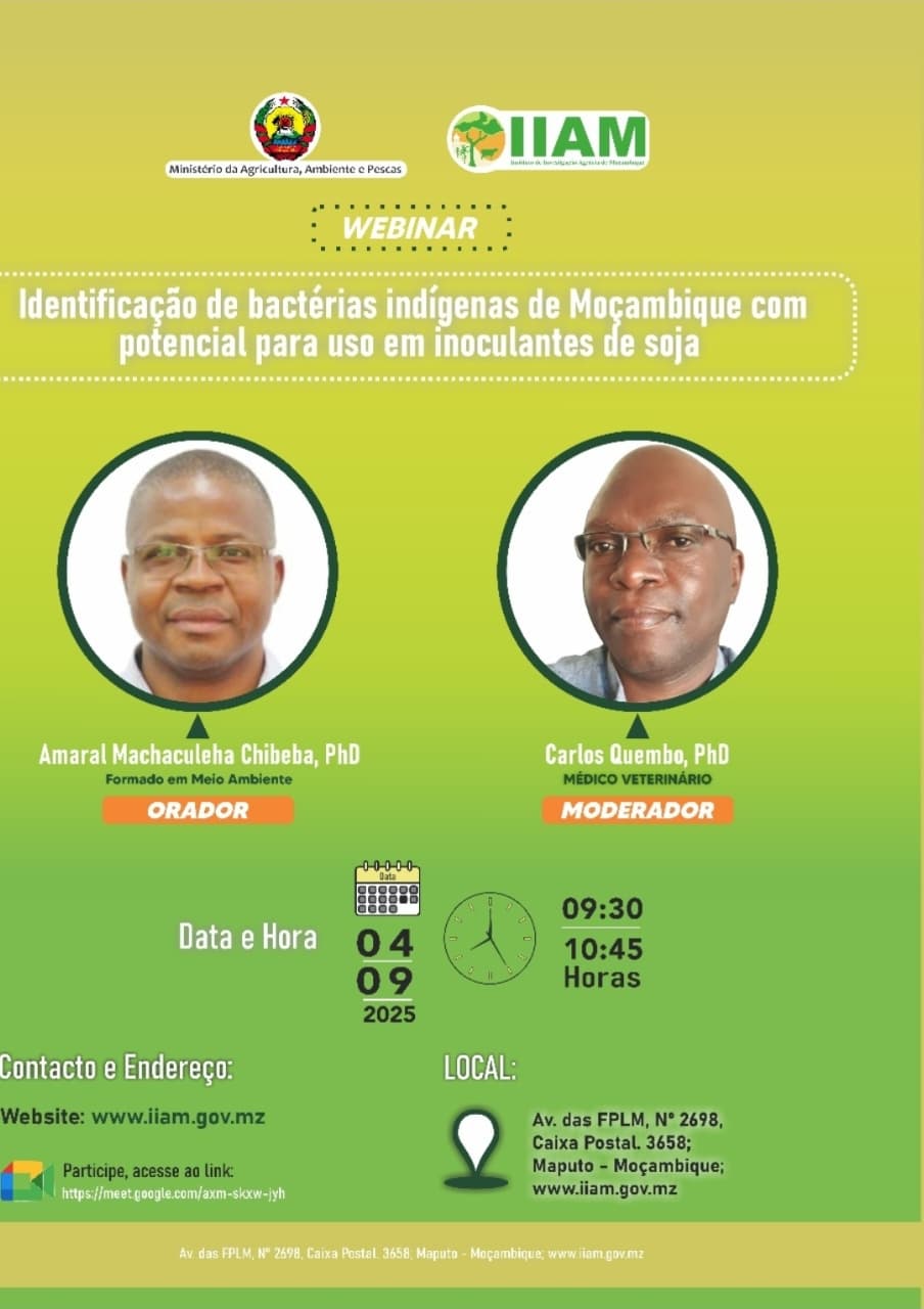 Webinar destaca potencial das bactérias indígenas de Moçambique para impulsionar a produção de soja