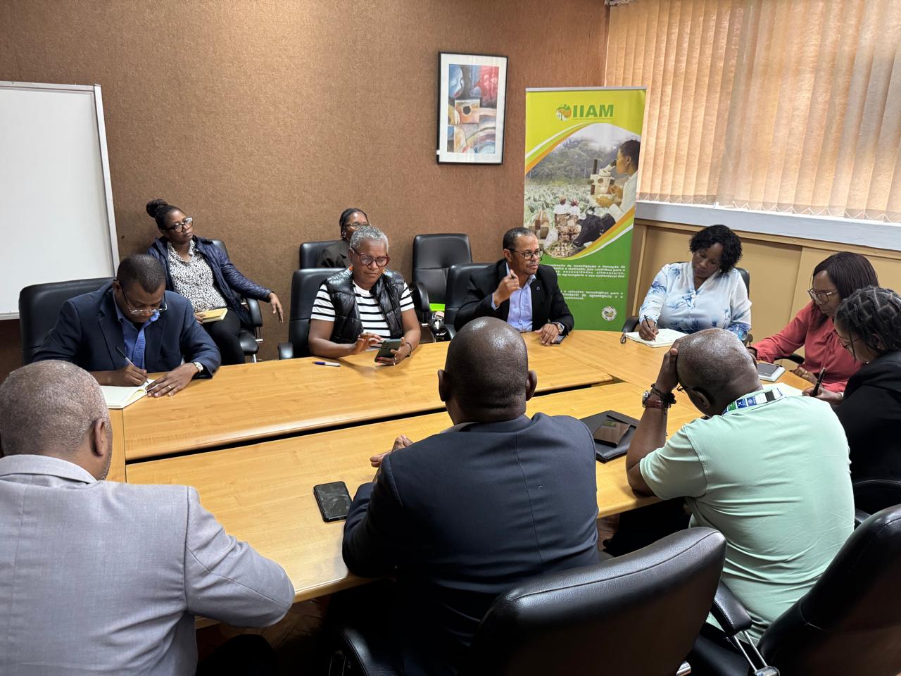 IIAM e MAAP Articulam Estratégias com Melhoradores de Sementes para Fortalecer Produção Agrícola Nacional
